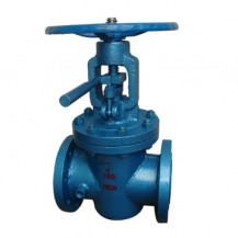 Steam jacket lift plug valve