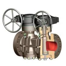 Pressure Balanced Twin Plug Valve